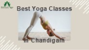 Yoga Classes In Chandigarh | Maharishi Yoga