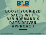 Boost Your B2B Sales with B2BinDemand's Data-Driven Approach