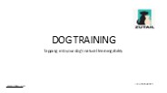 Dog Training service at Home | best dog training centre