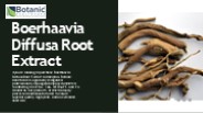 Boerhaavia diffusa root extract & Capsaicin oleoresin