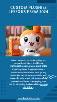 Custom Plushies Lessons from 2024