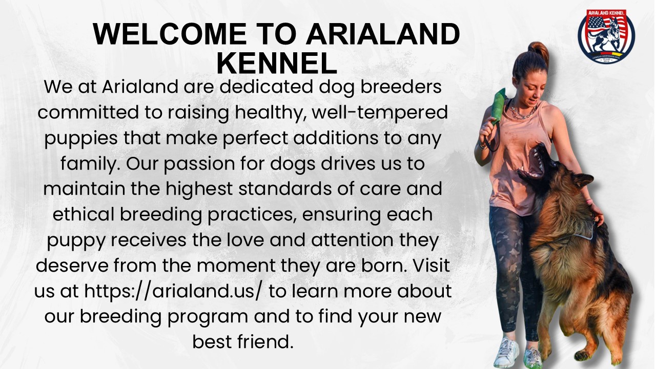 Understand What You’re Looking For