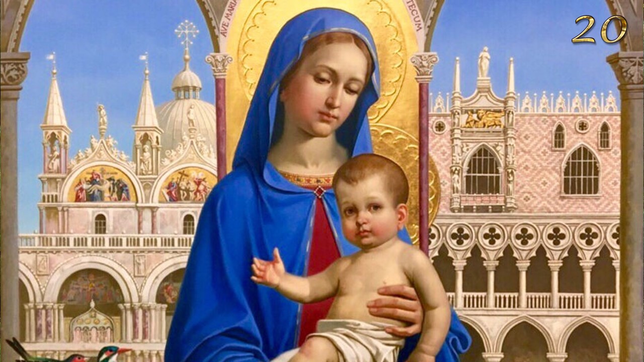 The Light of Christmas 20