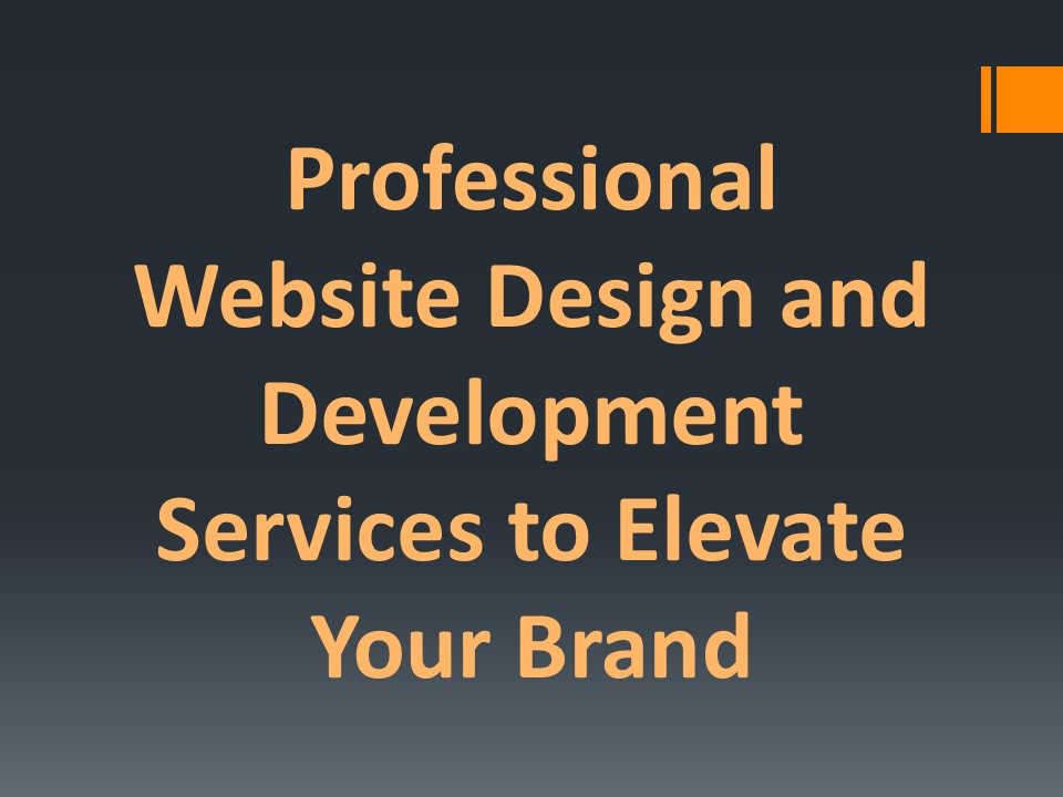 Professional Website Design and Development Services to Elevate Your ...