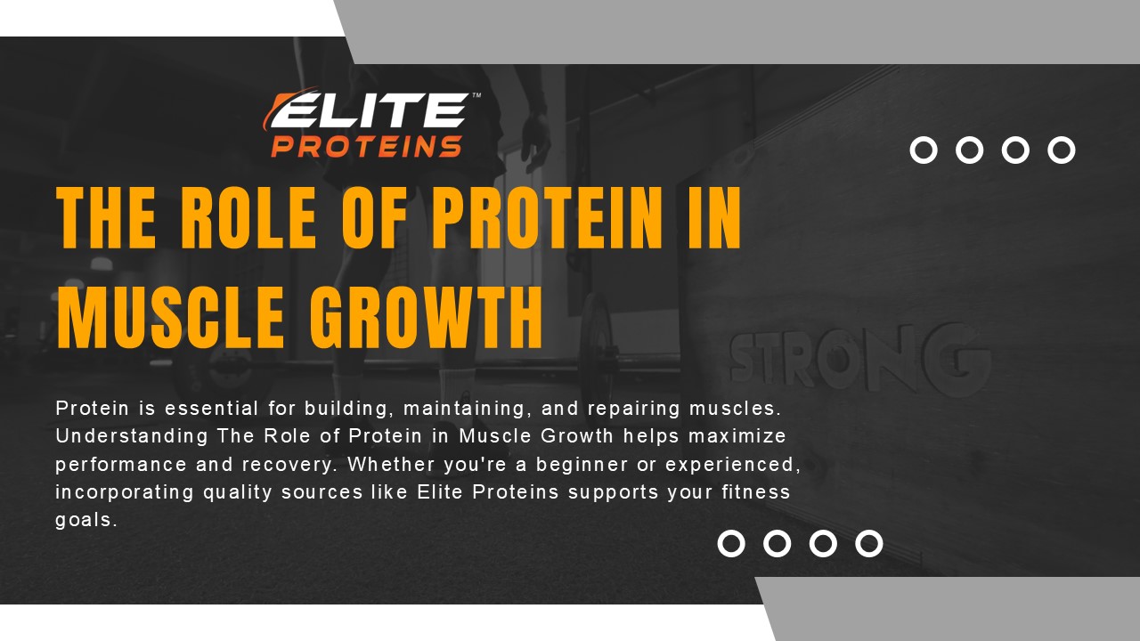 The Role of Protein in Muscle Growth