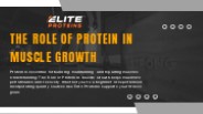 The Role of Protein in Muscle Growth