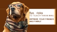 Pampering Your Beloved Pet with Expert Care