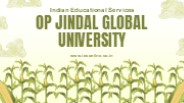 OP Jindal Global University
