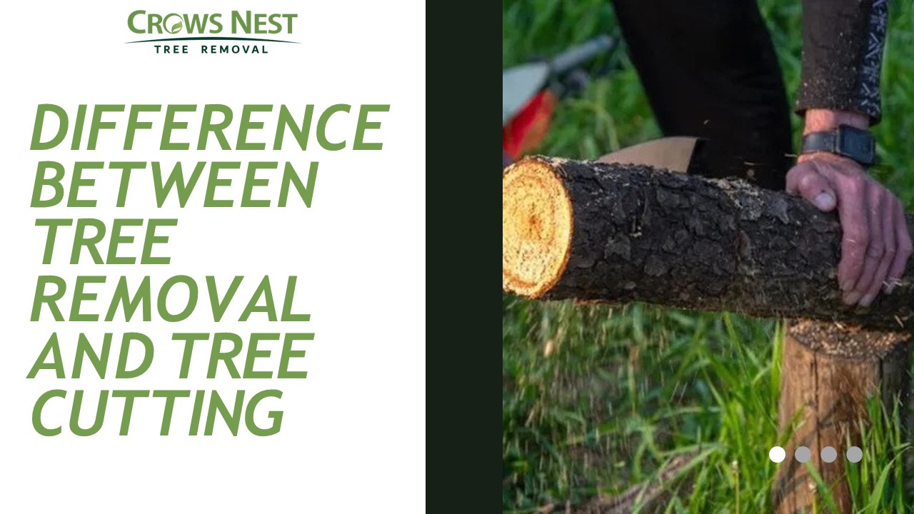 Difference between Tree removal and Tree cutting
