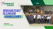 Sewage Pump In Canada (1)