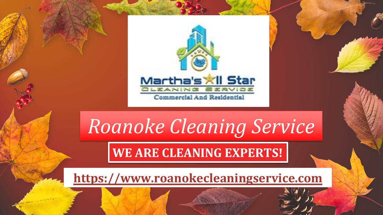 Sparkling Clean Homes with the Best Maid Service in Roanoke, VA