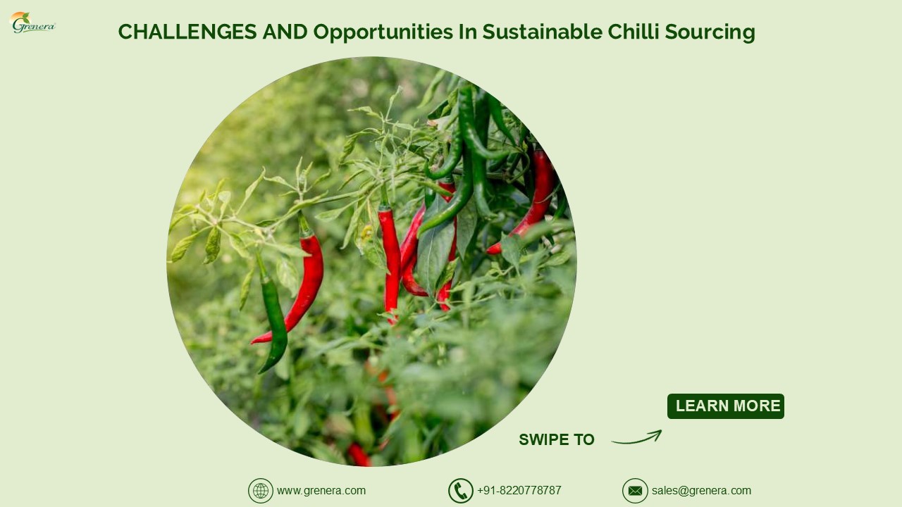 Challenges And Opportunities In Sustainable Chilli Sourcing