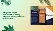 Recycled Paper Brochures Printing for Australian Businesses