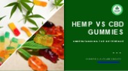 Hemp vs. CBD: Which is Right for You?