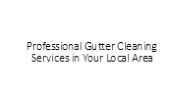 Professional Gutter Cleaning Services in Your Local Area