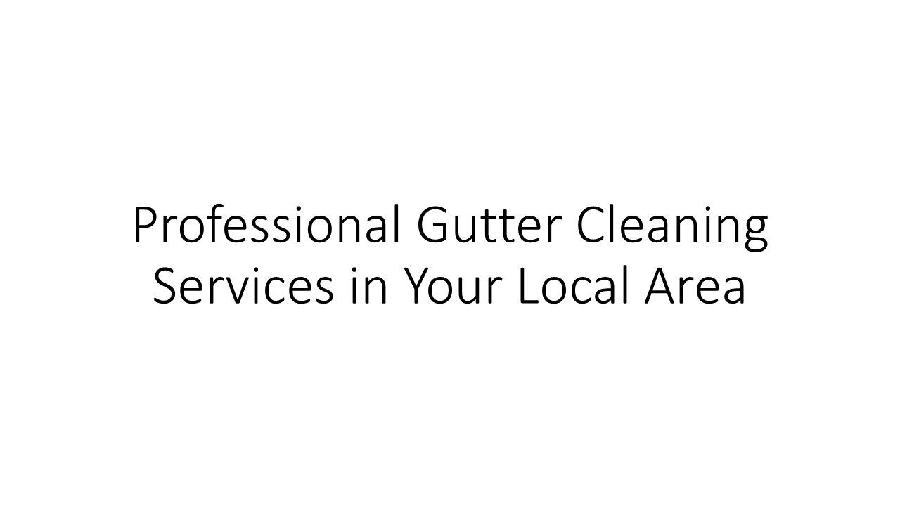 Professional Gutter Cleaning Services in Your Local Area (1)