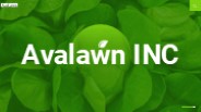 Professional irrigation services