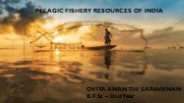 Overview of Indian Pelagic Fisheries