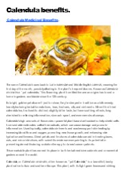 Calendula: Discover Its Remarkable Medicinal Benefits.
