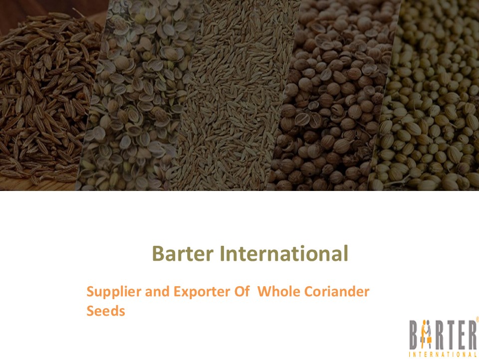 Whole Coriander Seeds Exporter - Barter International