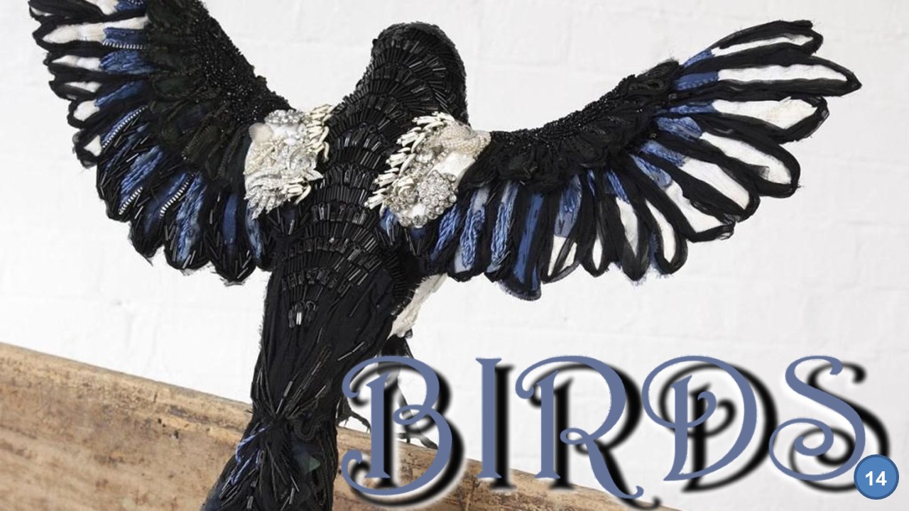 Birds 14 (Birds in Art. Donya Coward, Matt Wilson)
