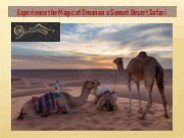 Experience the Magic of Oman on a Sunset Desert Safari