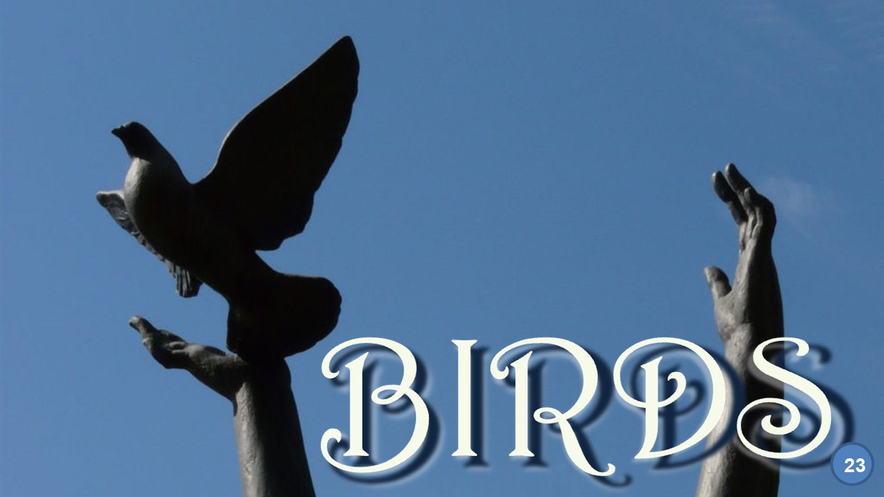 Birds 23 (Birds in Art. Sculpture)
