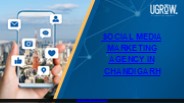 Social Media Marketing Agency In Chandigarh
