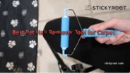 Best Pet Hair Remover Tool for Carpet