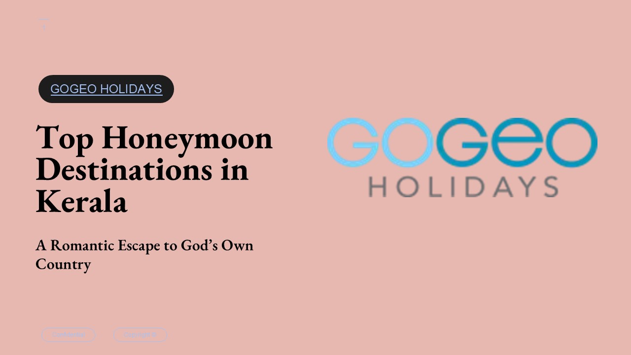 Top Honeymoon Destinations in Kerala