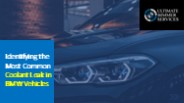 Identifying the Most Common Coolant Leak in BMW Vehicles