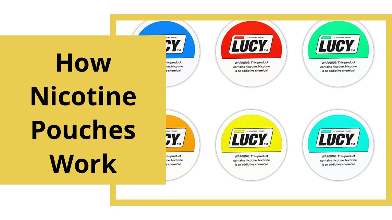 How Nicotine Pouches Work