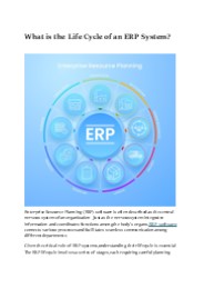 What is the Life Cycle of an ERP System?
