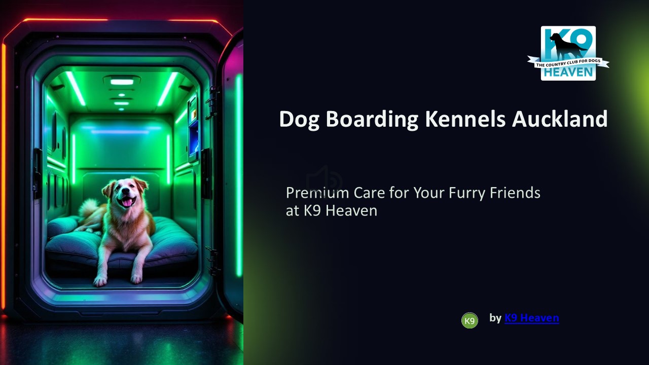 Dog Boarding Kennels Auckland