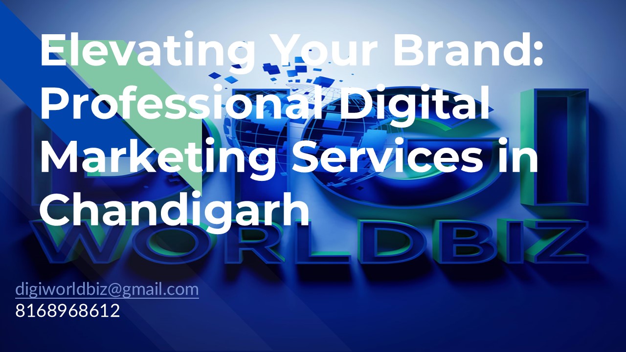 Professional digital marketing services