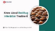 Know About Bed Bug Infestation Treatment