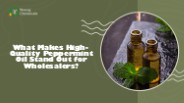Peppermint Oil Wholesalers in India