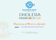 Dholera Marigold