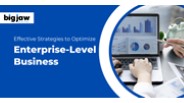 Effective Strategies to Optimize Enterprise-Level Business