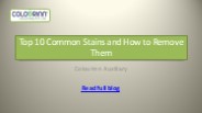 Top 10 Common Stains and How to Remove Them