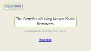 The Benefits of Using Natural Stain Removers