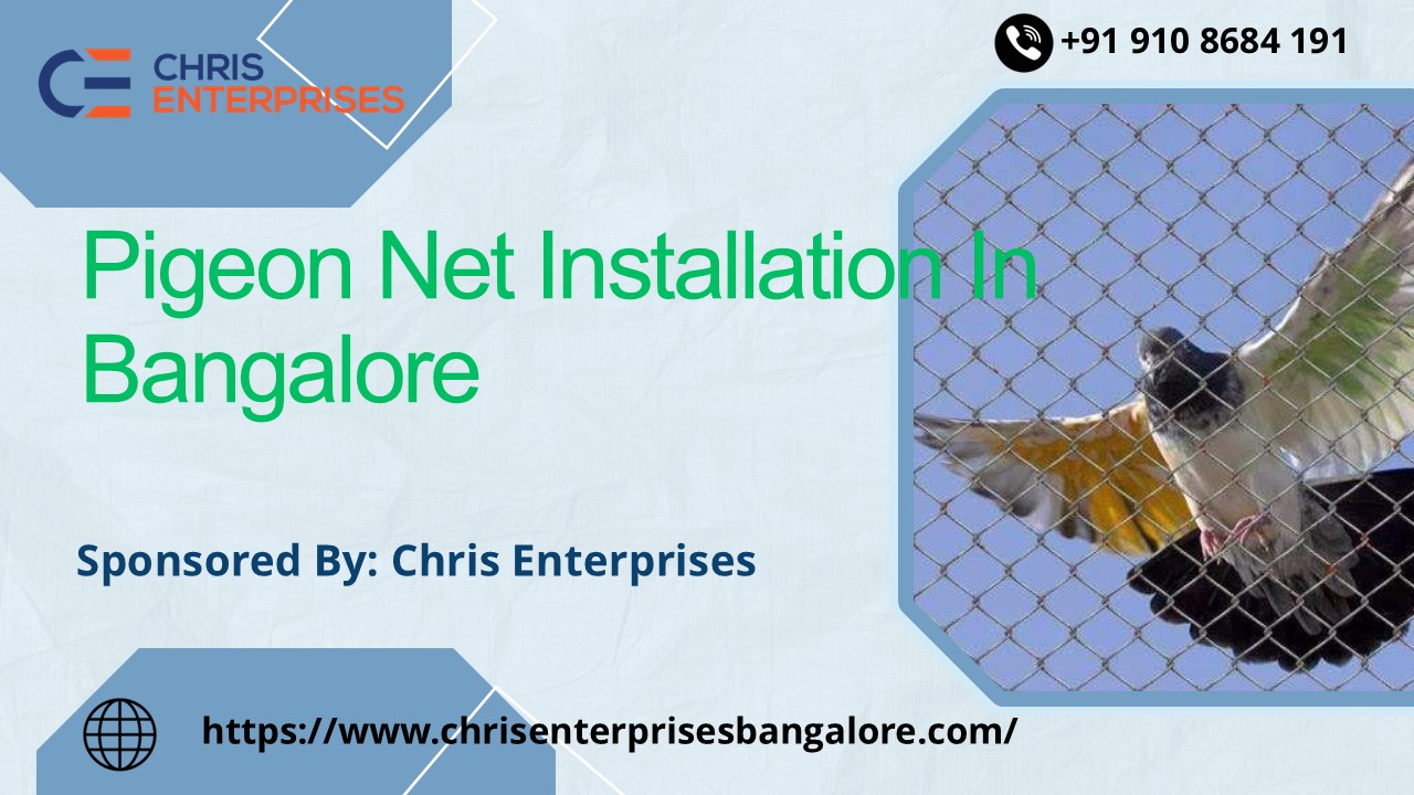 Pigeon Net Installation In Bangalore
