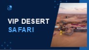 vip Desert Safari