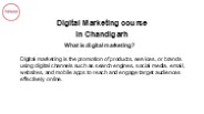 Digital marketing course in Chandigarh (1)