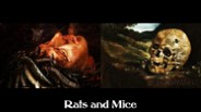 Rats and Mice (Olga E.)