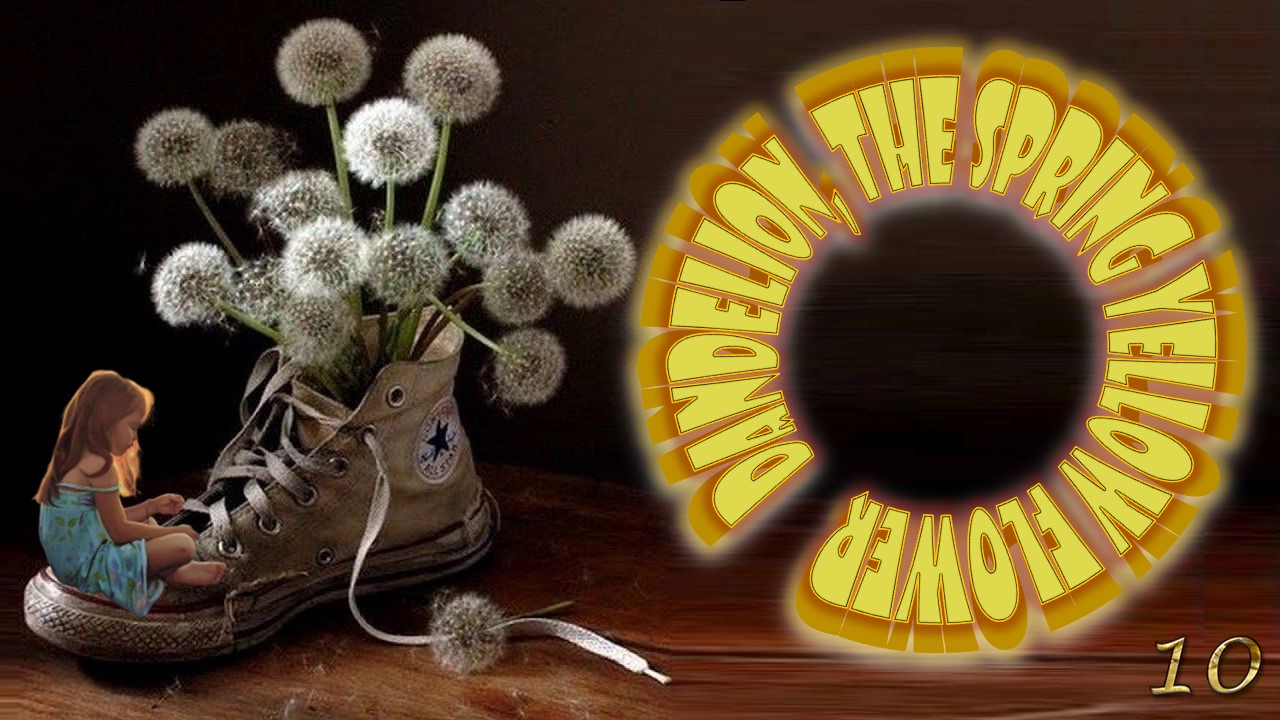 Dandelion 10, the spring yellow flower in art