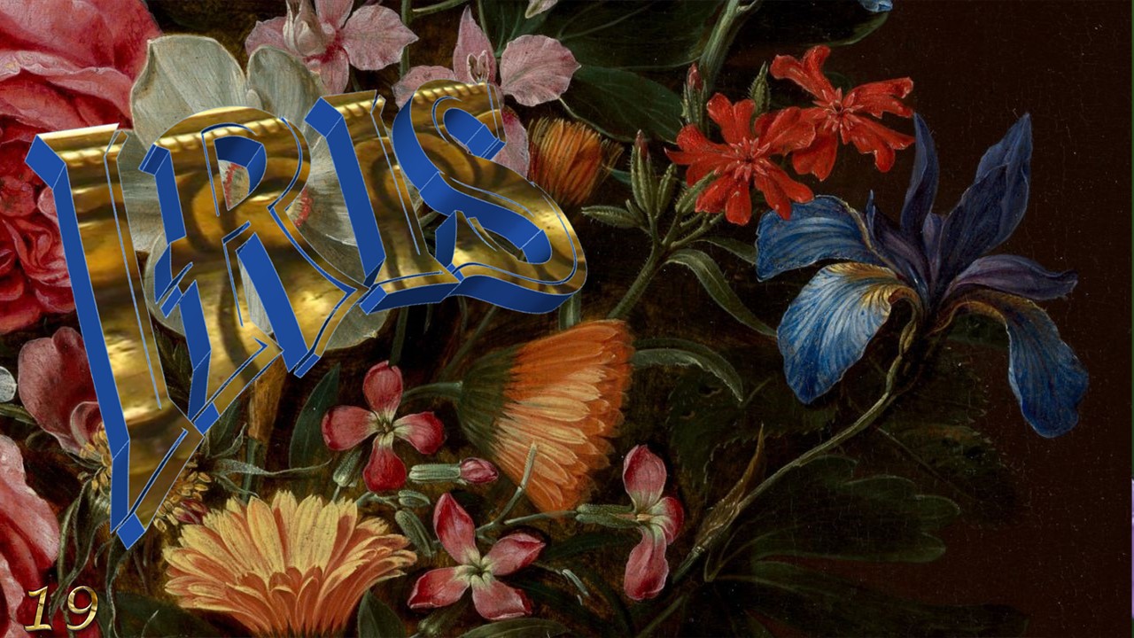 Iris, the spring jewel19 (flowers in art)