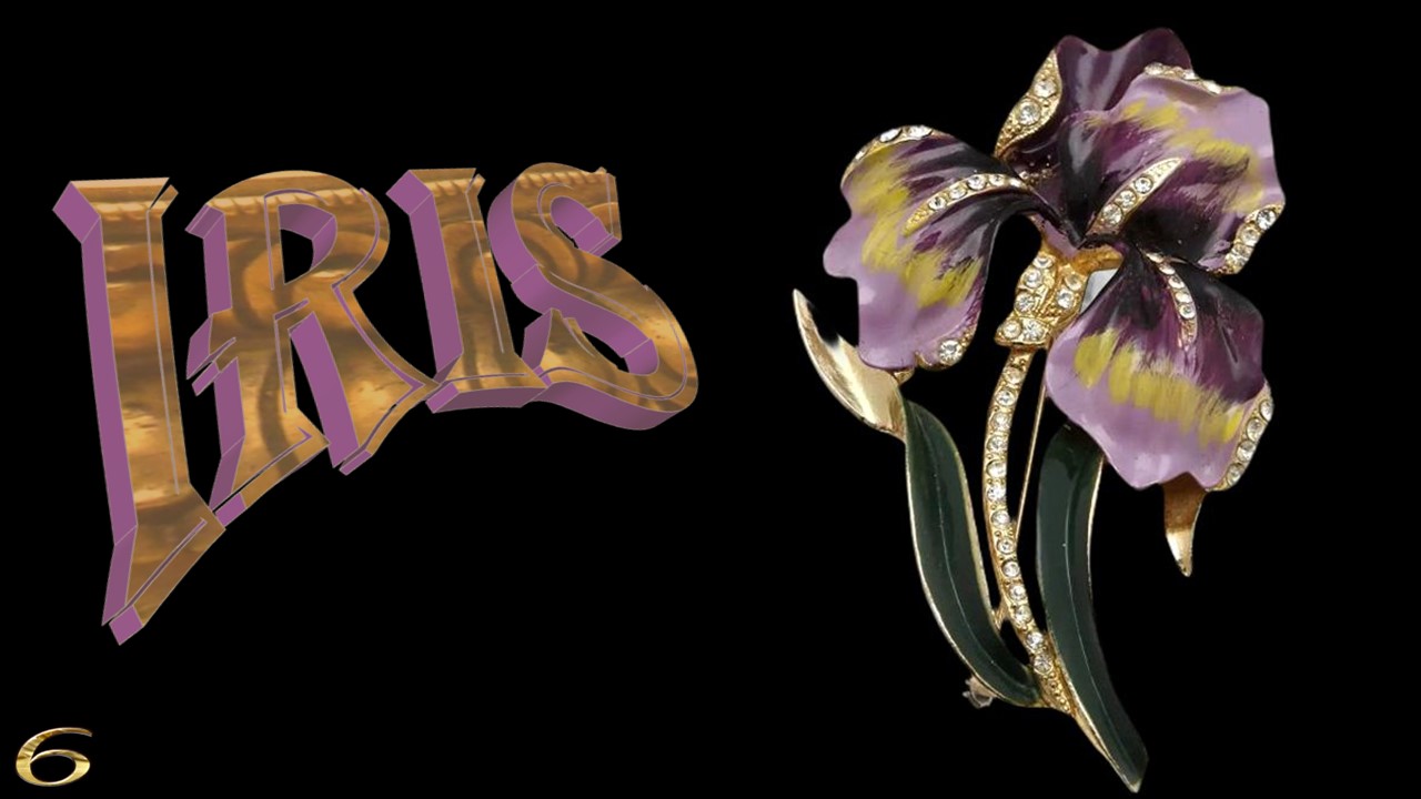 Iris, the spring jewel6 (Flowers in Art)