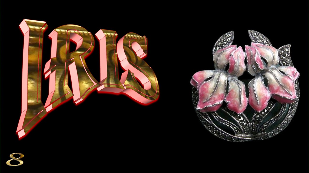 Iris, the spring jewel8 (Flowers in Art)