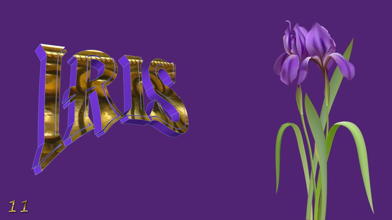 Iris, the spring jewel11 (Flowers in Art)